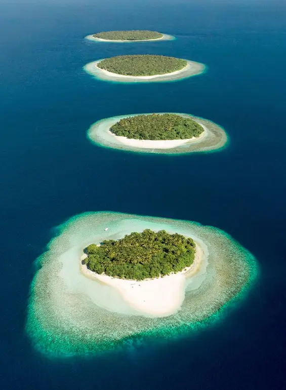 Baa Atoll SubMaldives